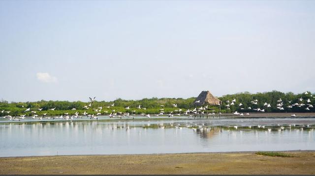 Foto de la galeria de imagenes