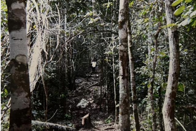 Foto de la galeria de imagenes